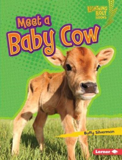 Cover for Buffy Silverman · Meet a baby cow (Book) (2016)