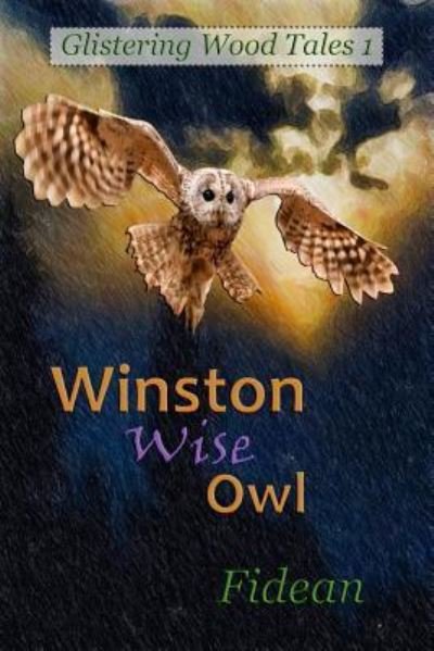 Cover for Fidean · Winston Wise Owl (Pocketbok) (2016)