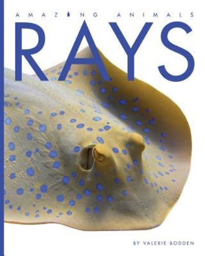 Cover for Valerie Bodden · Rays (Paperback Bog) (2018)
