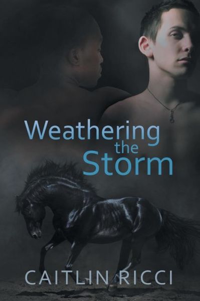 Cover for Caitlin Ricci · Weathering the Storm Volume 1 - Robbie &amp; Sam (Paperback Book) [New edition] (2015)