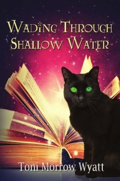 Wading Through Shallow Water - Toni Morrow Wyatt - Books - Satin Romance, an imprint of Melange Boo - 9781680465983 - January 2, 2018