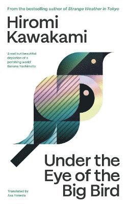 Cover for Hiromi Kawakami · Under the Eye of the Big Bird (Paperback Book) (2025)