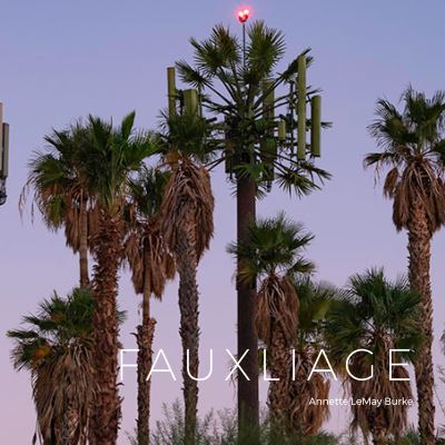 Cover for Fauxliage (Hardcover Book) (2021)