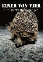 Einer von vier - Helen David - Books - tredition - 9783347427983 - June 29, 2022