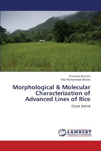 Cover for Fida Muhammad Abbasi · Morphological &amp; Molecular Characterization of Advanced Lines of Rice: Oryza Sativa (Paperback Book) (2013)