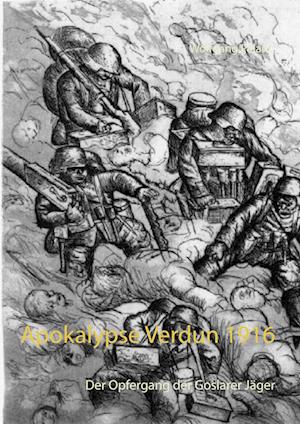 Cover for Wolfgang Paland · Apokalypse Verdun 1916 (Paperback Book) (2016)