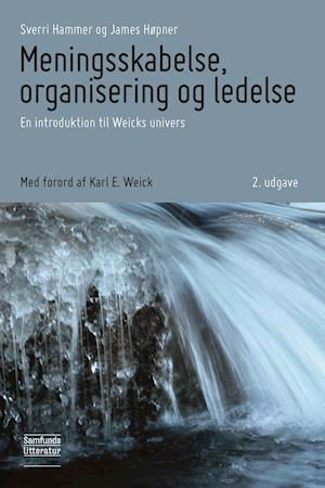 Cover for Sverri Hammer og James Høpner · Meningsskabelse, organisering og ledelse (Pocketbok) [2:a utgåva] (2019)