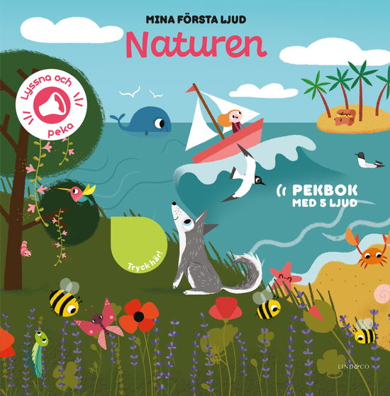 Cover for Amandine Notaert · Mina första ljud. Naturen (Board book) (2024)