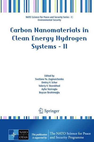 Svetlana Yu Zaginaichenko · Carbon Nanomaterials in Clean Energy Hydrogen Systems - II - NATO Science for Peace and Security Series C: Environmental Security (Innbunden bok) [2011 edition] (2011)