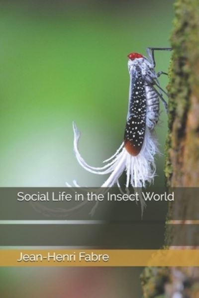 Cover for Jean-Henri Fabre · Social Life in the Insect World (Paperback Book) (2020)