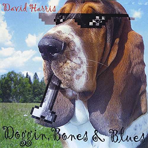 Cover for David Harris · Doggin' Bones &amp; Blues (CD) (2016)