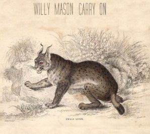 Carry on - Willy Mason - Musik - POLYDOR - 0602537233984 - 3. december 2012