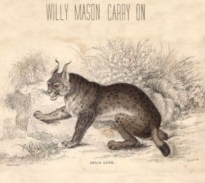 Cover for Willy Mason · Carry on (CD) (2012)