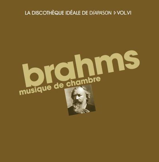 Chamber Music Vol.6 - J. Brahms - Música - DIAPASON D'OR - 3770003441984 - 29 de novembro de 2016
