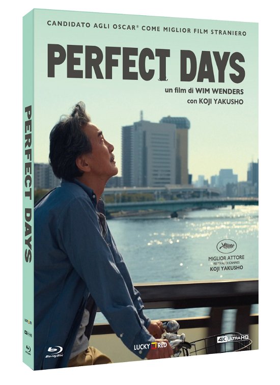 Perfect Days (4k+Br) (Blu-ray)