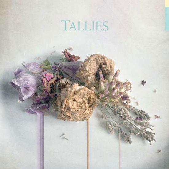 Tallies - Tallies - Music - MEMPHIS INDUSTRIES - 5060146098984 - January 10, 2019