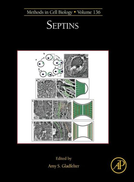 Cover for Septins (Gebundenes Buch) (2016)