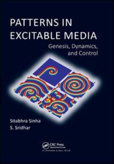 Cover for Sitabhra Sinha · Patterns in Excitable Media: Genesis, Dynamics, and Control (Paperback Book) (2019)