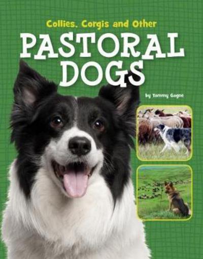 Cover for Tammy Gagne · Collies, Corgis and Other Pastoral Dogs - Dog Encyclopedias (Paperback Book) (2017)