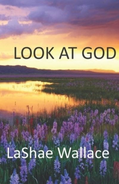 Cover for Lashae Wallace · Look At God (Paperback Book) (2013)