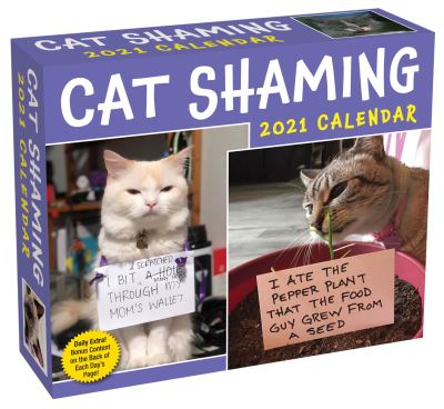 Cat Shaming 2021 Day-to-Day Calendar - Pedro Andrade - Merchandise - Andrews McMeel Publishing - 9781524856984 - November 12, 2020