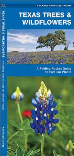 Cover for James Kavanagh · Texas Trees &amp; Wildflowers: a Folding Pocket Guide to Familiar Species (Pocket Naturalist Guide Series) (Pamphlet) [1st edition] (2017)