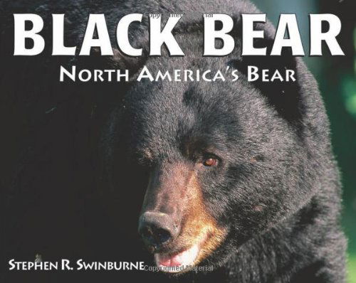 Cover for Stephen R. Swinburne · Black Bear: North America's Bear (Paperback Book) [Reprint edition] (2009)