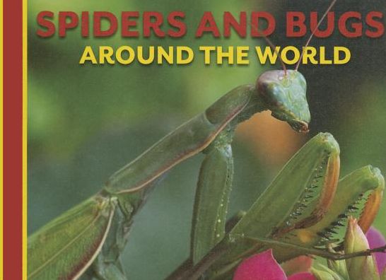 Cover for Claudia Martin · Spiders and Bugs Around the World (Animals Around the World) (Hardcover Book) (2014)