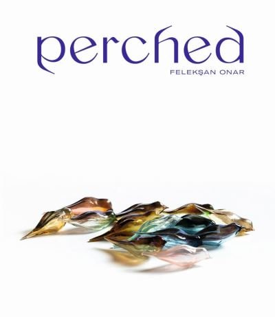 Cover for Stefan Weber · Perched: FeleksAn Onar (Hardcover Book) (2020)