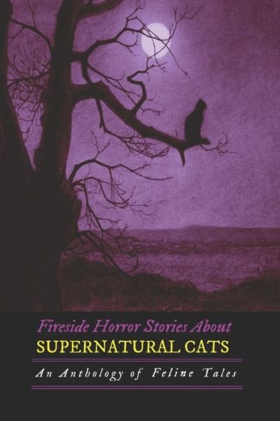 Cover for Ambrose Bierce · Fireside Horror Stories About Supernatural Cats (Paperback Book) (2017)