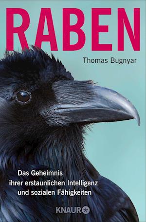 Cover for Thomas Bugnyar · Raben (Book) (2024)