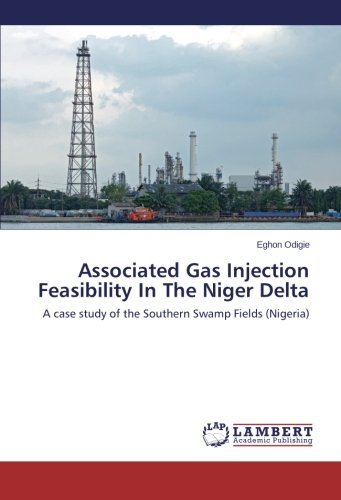 Cover for Eghon Odigie · Associated Gas Injection Feasibility in the Niger Delta (Pocketbok) (2013)