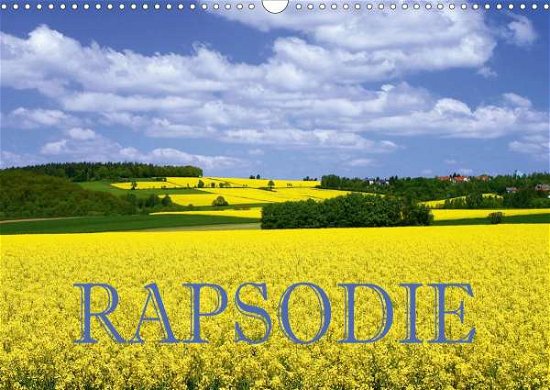Cover for Pfleger · Rapsodie (Wandkalender 2021 DIN (Book)