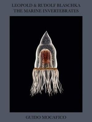Cover for Guido Mocafico · Guido Mocafico: Leopold &amp; Rudolf Blaschka. The Marine Invertebrates (Hardcover Book) (2025)