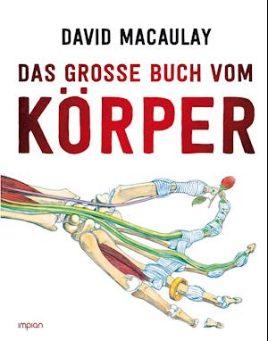 Cover for Macaulay · Das große Buch vom Körper (Book)