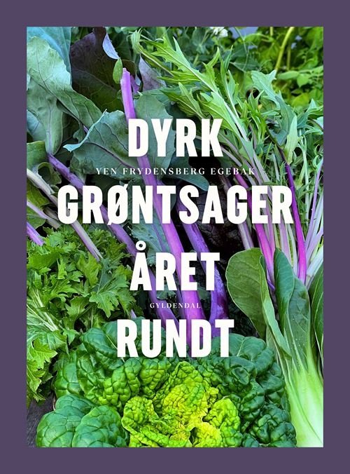 Cover for Yen Frydensberg Egebak · Dyrk grøntsager året rundt (Bound Book) [1º edição] (2024)