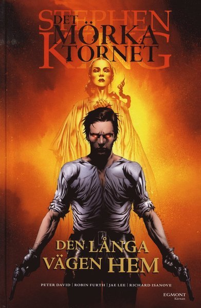 Cover for Stephen King · Det mörka tornet: Det mörka tornet 2 - Den långa vägen hem (Inbunden Bok) (2009)