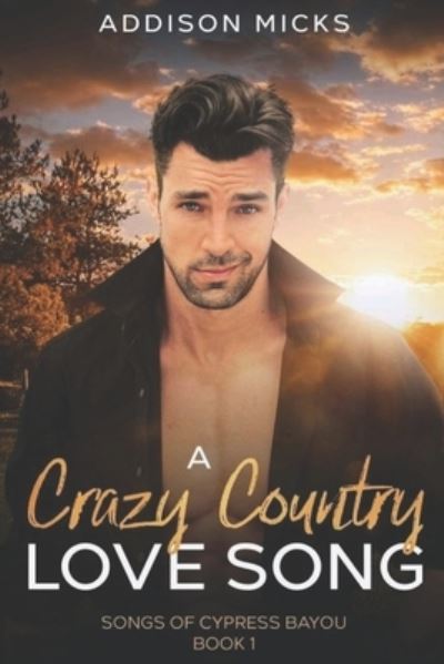 Cover for Addison Micks · Crazy Country Love Song (Book) (2022)