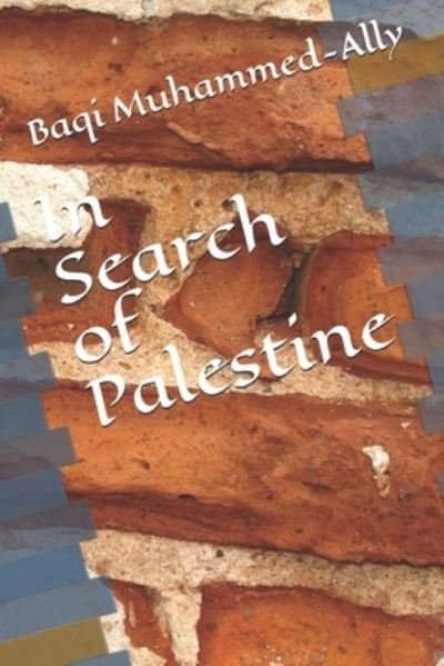 Cover for Baqi Muhammed-Ally · In Search of Palestine (Paperback Book) (2021)