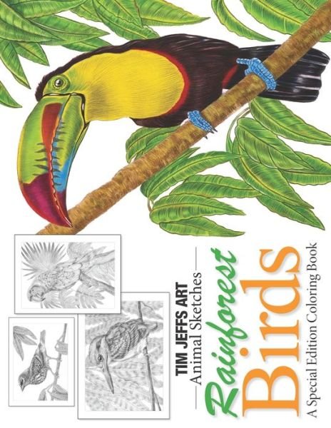 Cover for Tim Jeffs · Rainforest Birds (Paperback Book) (2021)