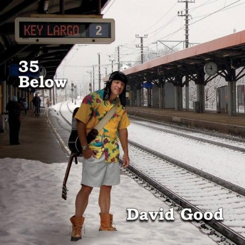 Cover for David Good · 35 Below (CD) (2010)