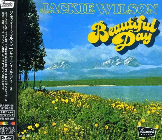 Beautiful Day - Jackie Wilson - Music - ULTRA VIBE - 4526180134985 - July 10, 2013