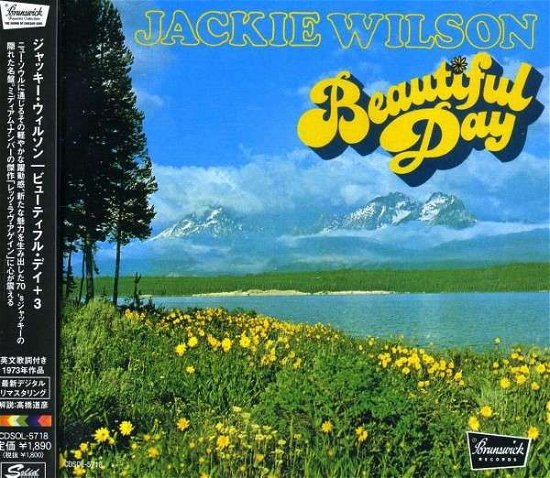 Cover for Jackie Wilson · Beautiful Day (CD) [Remastered edition] (2013)
