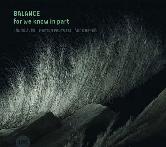 For We Know in Part - Balance - Musikk - BMC RECORDS - 5998309302985 - 29. juli 2022