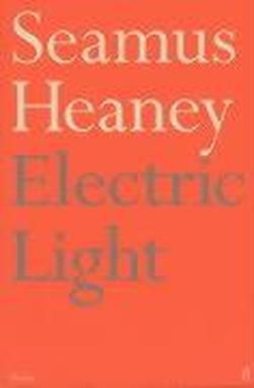 Electric Light - Seamus Heaney - Boeken - Faber & Faber - 9780571207985 - 19 maart 2001