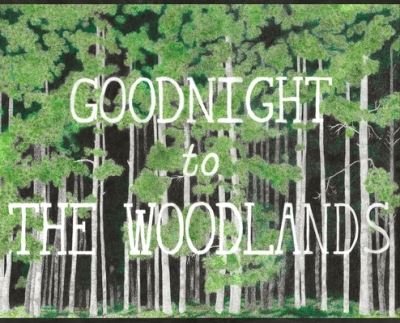 Cover for Datura Metel · Goodnight to The Woodlands (Hardcover bog) (2019)