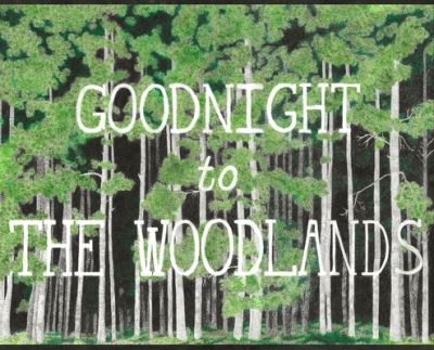 Cover for Datura Metel · Goodnight to The Woodlands (Hardcover Book) (2019)