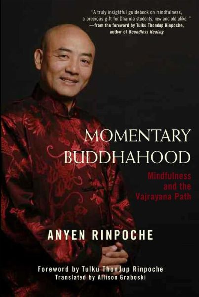 Cover for Anyen Rinpoche · Momentary Buddhahood: Mindfulness and the Vajrayana Path (Paperback Book) (2009)