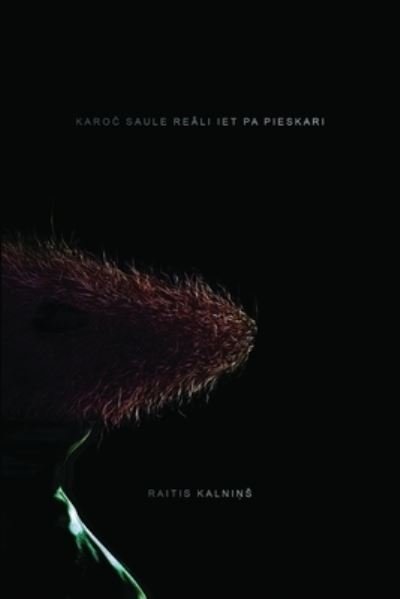 Cover for Raitis Kalnins · Karoch Saule reaali iet pa pieskari (Taschenbuch) (2014)