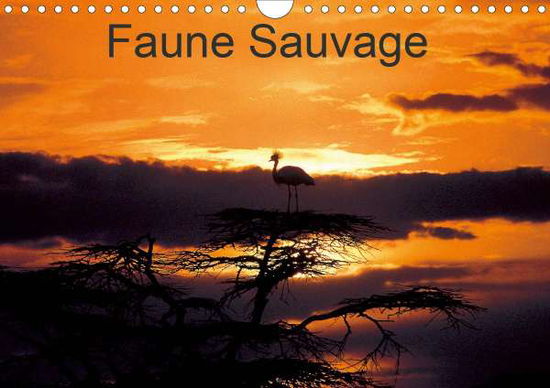 Cover for Leroy · Faune Sauvage (Calendrier mural 2 (Buch)